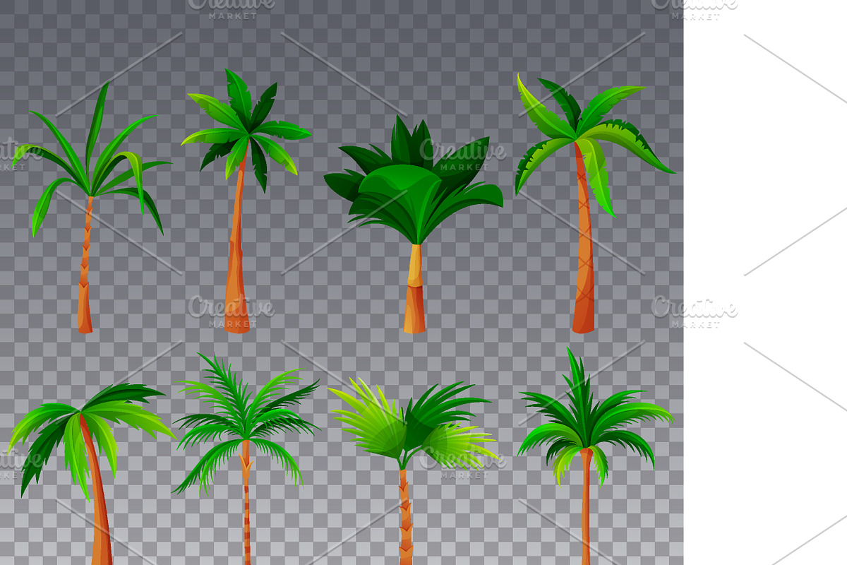Palm tree or coconut palm set, an Object Illustration by GenziWorkshop (Photo 2 of 2)
