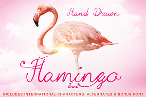 Hand Drawn Flamingo Font