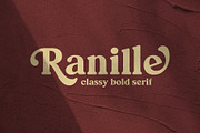 Ranille, a Serif Font by Arterfak Project (Thumbnail 1 of 16)