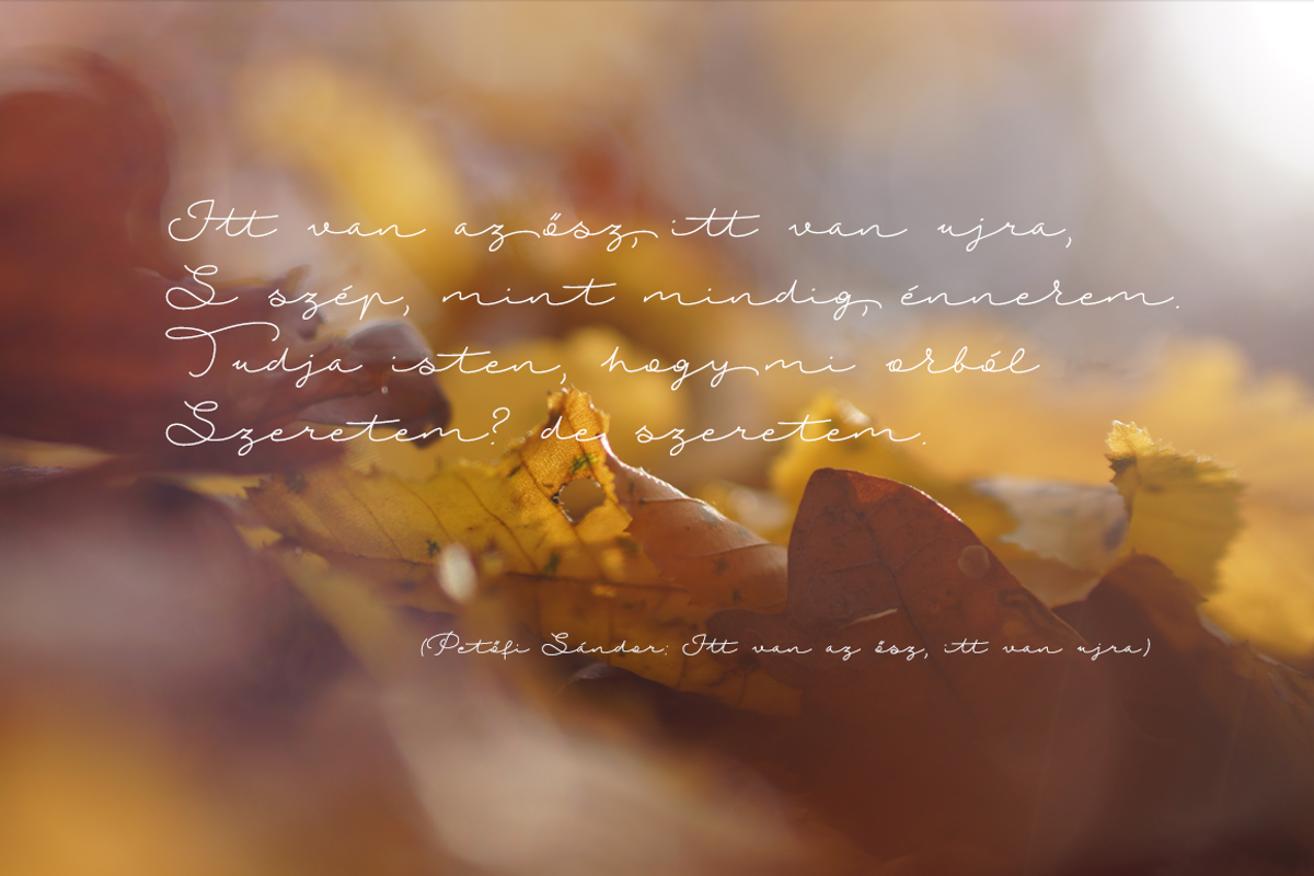 Autumn Chant Font | FontCypress