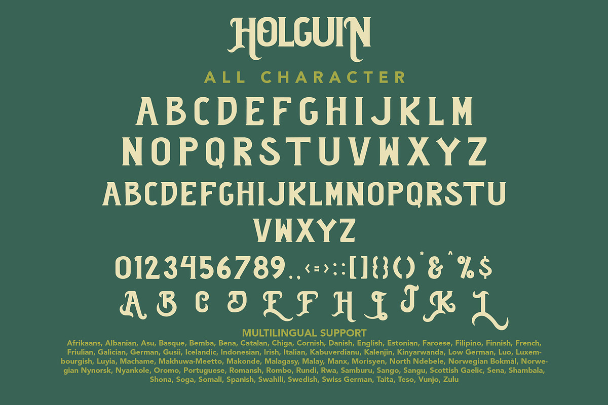 Holguin - Vintage Typeface, a Serif Font by Arendxstudio (Photo 10 of 11)