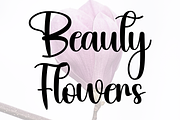 Magnolia Signature, a Handwritten Font by FreshTypeINK (Thumbnail 5 of 8)