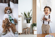 10 Bright and Airy Lightroom presets, a Preset Add-On by Presets by Yevhen (Thumbnail 2 of 10)