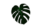 Monstera Leaf Silhouette Bundle, an Illustration by yasushie (Thumbnail 10 of 31)