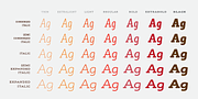 Rogliano Pro, a Slab Serif Font by Untype (Thumbnail 4 of 26)