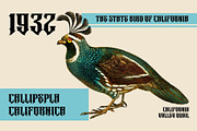 Metrim - Logo Font, a Blackletter Font by Nirmana Visual (Thumbnail 11 of 16)