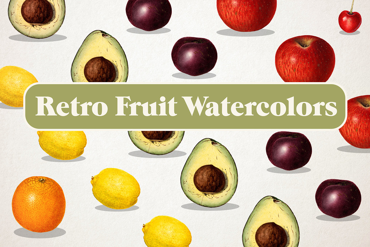 Vintage Fruit Illustrations, a Food Illustration by Catty Studio (Photo 1 of 10)