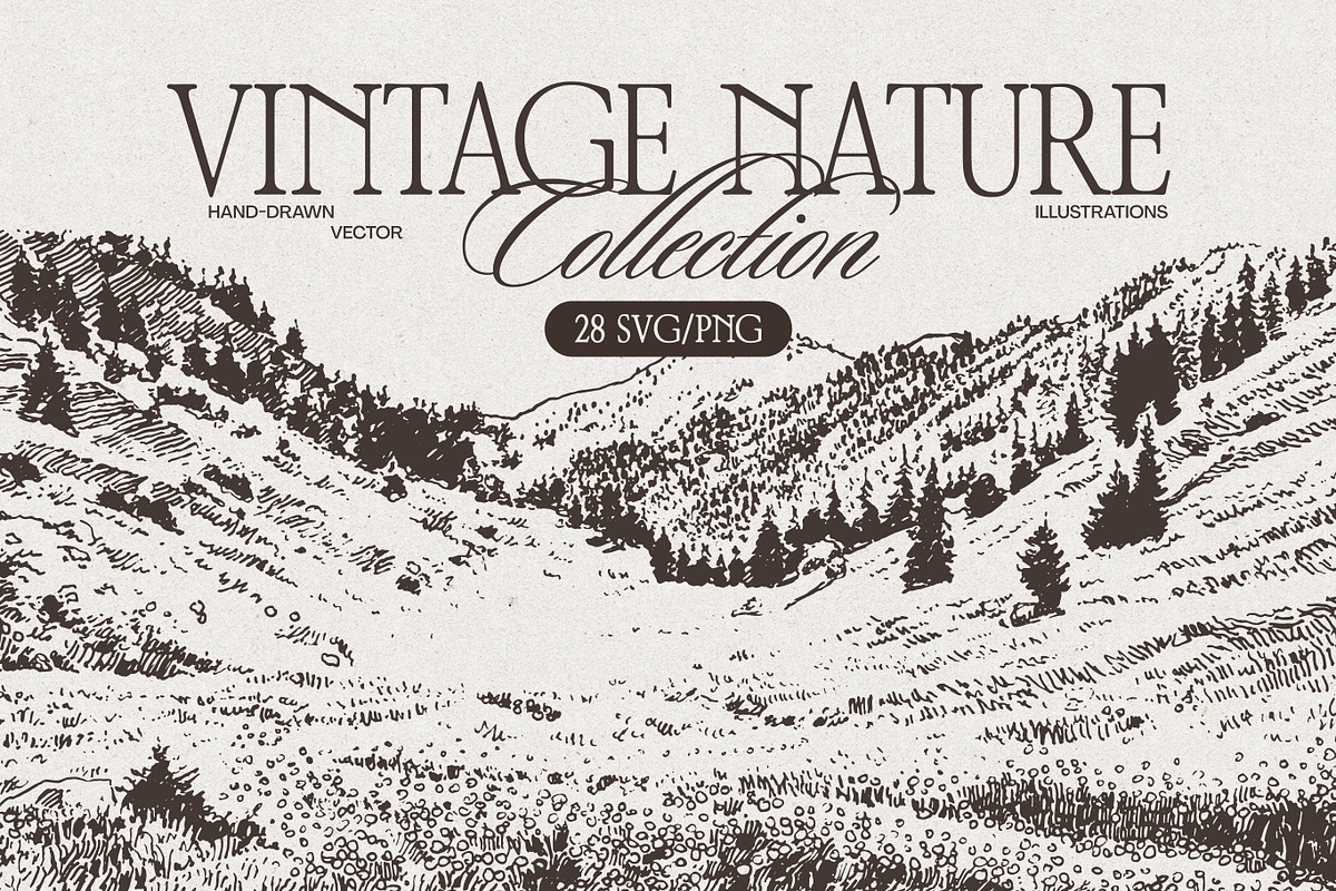 Vintage Nature Landscape Collection, a Seasonal Illustration by TheMountBirdStudio (Photo 1 of 17)