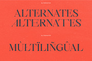 Belize – Stylish Ligature Serif Font, a Serif Font by Studio Aurora (Thumbnail 4 of 8)