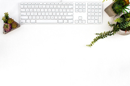 Styled Stock Photography Succulents, a Photo by Gorgeous Graphics
