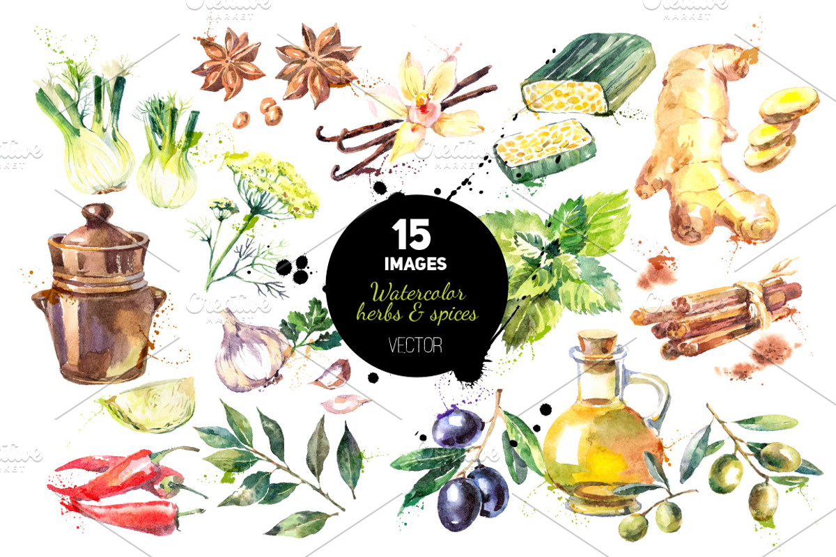 Watercolor Herb & Spices Vector Set, a Food Illustration by Elena Pimonova (Photo 1 of 5)