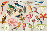 Сreative retro collages, an Object Graphic by Aleks.Flaks (Thumbnail 16 of 18)