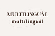 Shogita - Elegant Serif Font, a Serif Font by Aqeel_Art (Thumbnail 9 of 9)