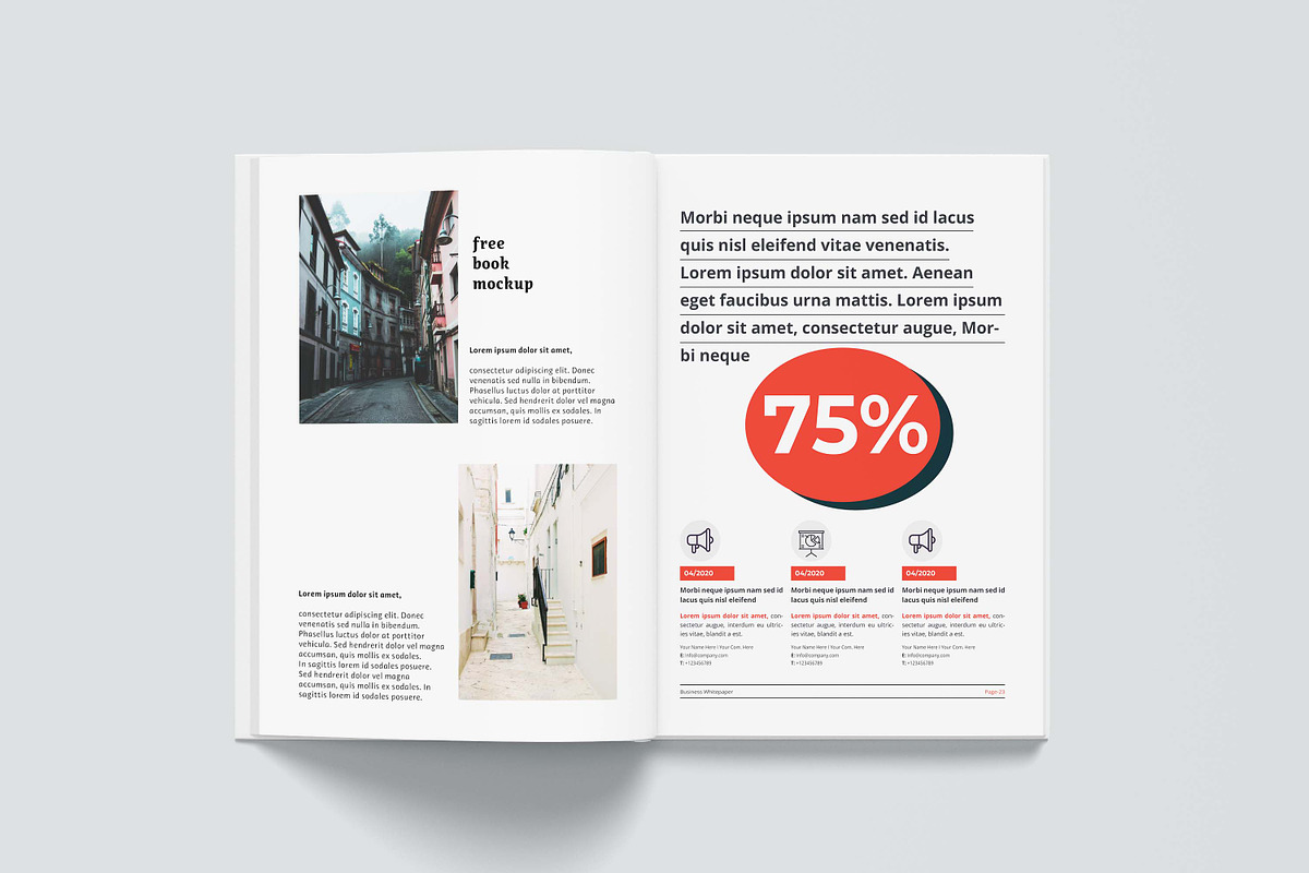 White Paper 42 Pages, a Brochure Template by obayes (Photo 14 of 28)
