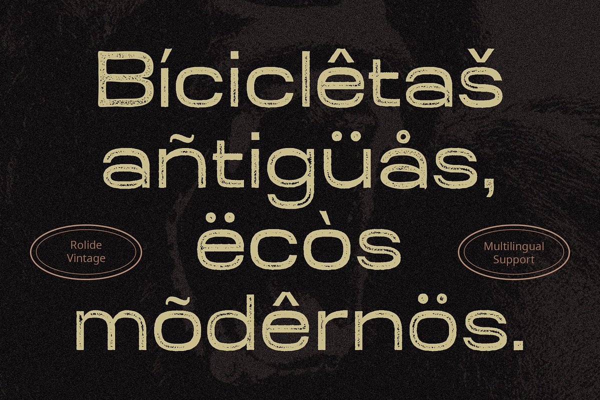 Rolide Vintage, a Sans Serif Font by Craft Supply Co. (Photo 6 of 8)