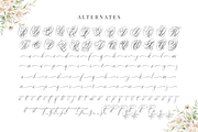Newly Bridal - A Wedding Font, a Script Font by a Piece of Cake (Thumbnail 10 of 12)