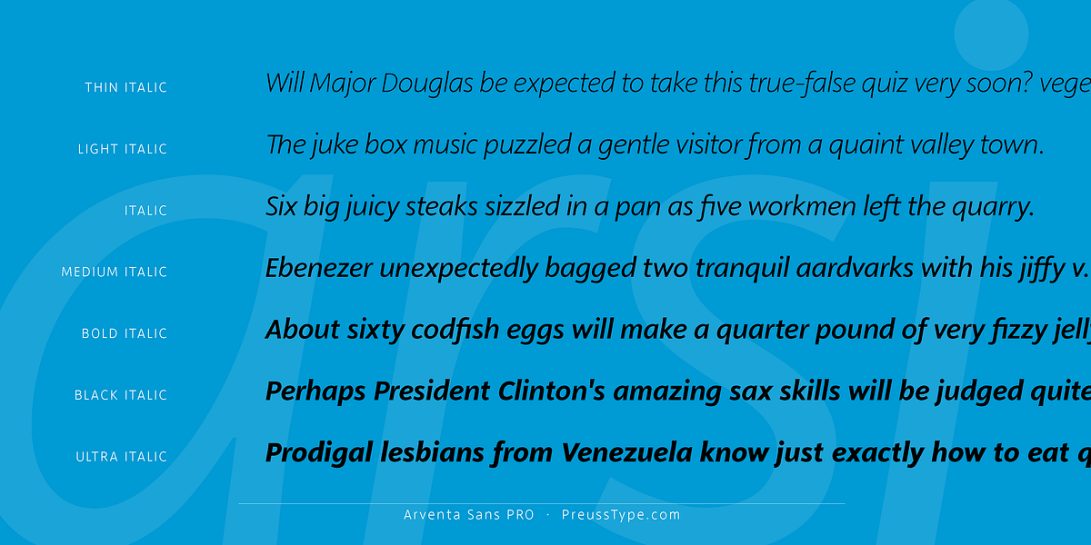 Arventa Sans PRO, a Sans Serif Font by preussTYPE (Photo 5 of 10)