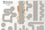 HERBARIUM. Vector set, a Pattern Graphic by Irina Skaska (Thumbnail 12 of 12)