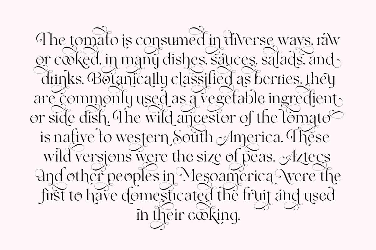 Kimberlie Display, a Serif Font by Attract Studio (Photo 14 of 18)
