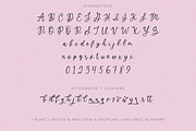 North Avenue Script, a Script Font by Beck McCormick (Thumbnail 10 of 10)