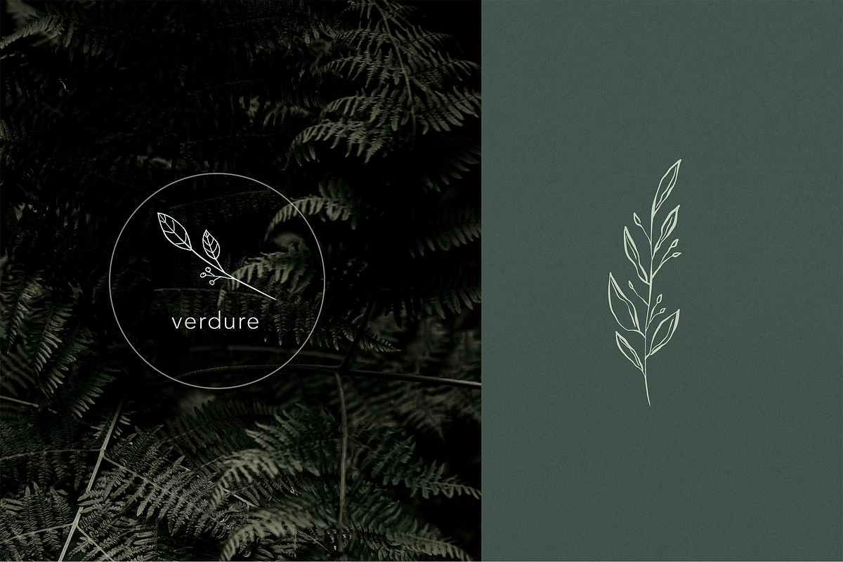 Botanical Line Art Logo, an Illustration by Backyard Rose (Photo 9 of 12)