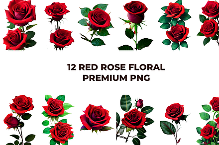 Red Rose Floral Premium PNG, a Decorative Illustration by Graphicspixel