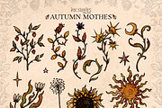 Autumn Moths & Dried Botanicals, an Animal Illustration by Ink Stories (Thumbnail 4 of 18)