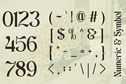Scales - Aesthetic Ligatures Serif, a Serif Font by Say Studio (Thumbnail 13 of 13)