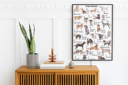 Dogs Alphabet, clipart & patterns, an Animal Illustration by Visual Animal (Thumbnail 7 of 8)