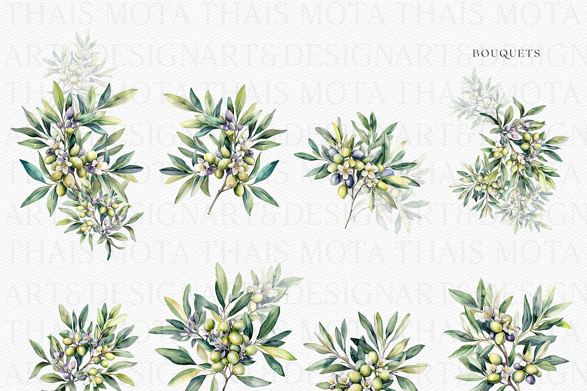 Olive Botanicals – Watercolor, a Decorative Illustration by ThaismotaCreativeCo (Photo 4 of 9)