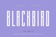 Langella Tall Font Family (16 Fonts), a Sans Serif Font by alpercakici (Thumbnail 2 of 16)
