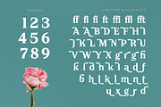 Neutral Trends Modern Display Serif, a Serif Font by timelesstype.co (Thumbnail 18 of 20)