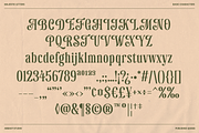 Majestic Letters, a Serif Font by Abbasy Studio (Thumbnail 4 of 11)