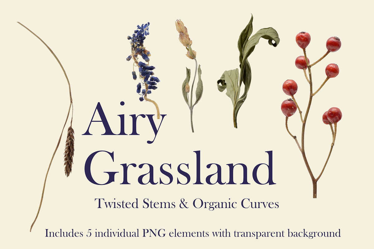 Airy Grassland — Twisted Stems & Org, an Object Graphic by Aga Silva (Photo 2 of 4)