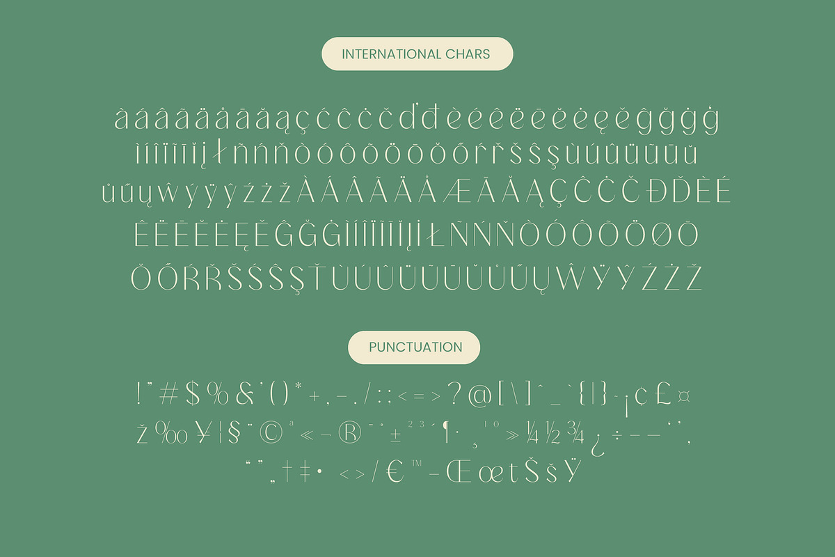 Adisan Richard Elegant Sans Serif, a Sans Serif Font by timelesstype.co (Photo 14 of 15)