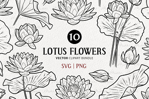 Lotus Flower Vector Line Art Set