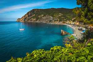 Beautiful beach view with plants, a Nature Photo by Alpine Dreams