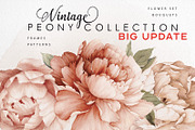 Watercolor Floral Bundle, a Texture Illustration by ollalya (Thumbnail 53 of 112)