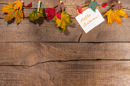 Creative autumn border with fall leaves, a Holiday Photo by Rimma