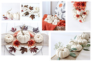 Fall Color Bundle Stock Photos, a Background Photo by SunnyTangerine Stock (Thumbnail 6 of 10)