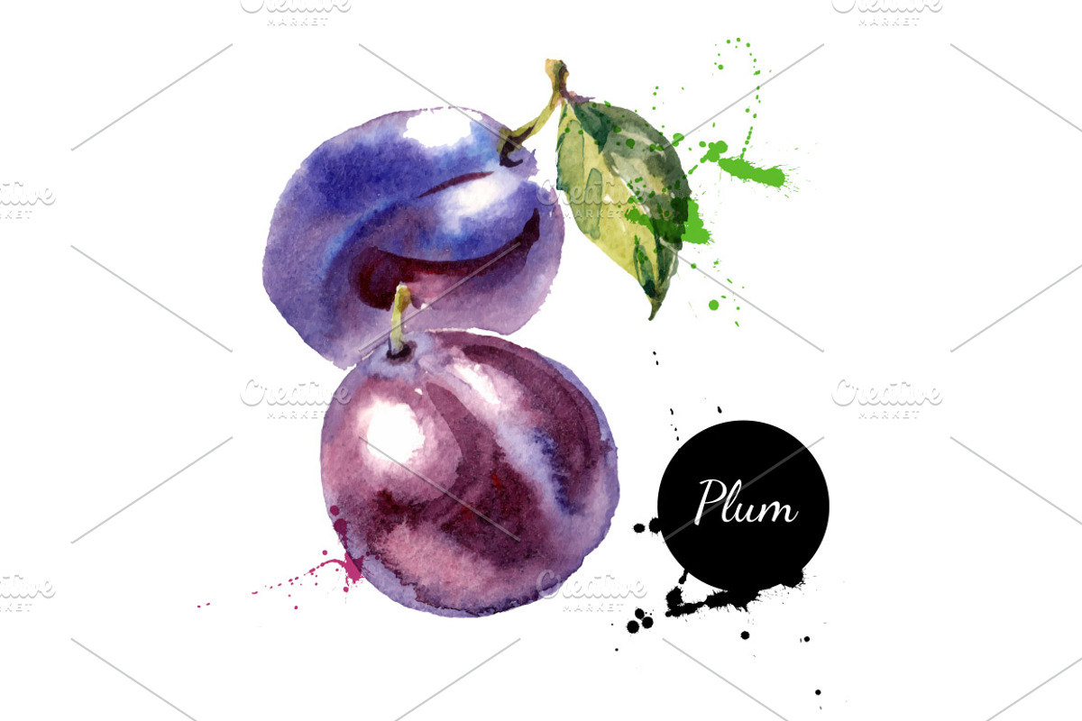20 Watercolor Fruits Vector, a Food Illustration by Elena Pimonova (Photo 2 of 5)