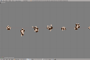 Chimpanzee, an Animal 3D Model by Studio Ochi (Thumbnail 6 of 10)