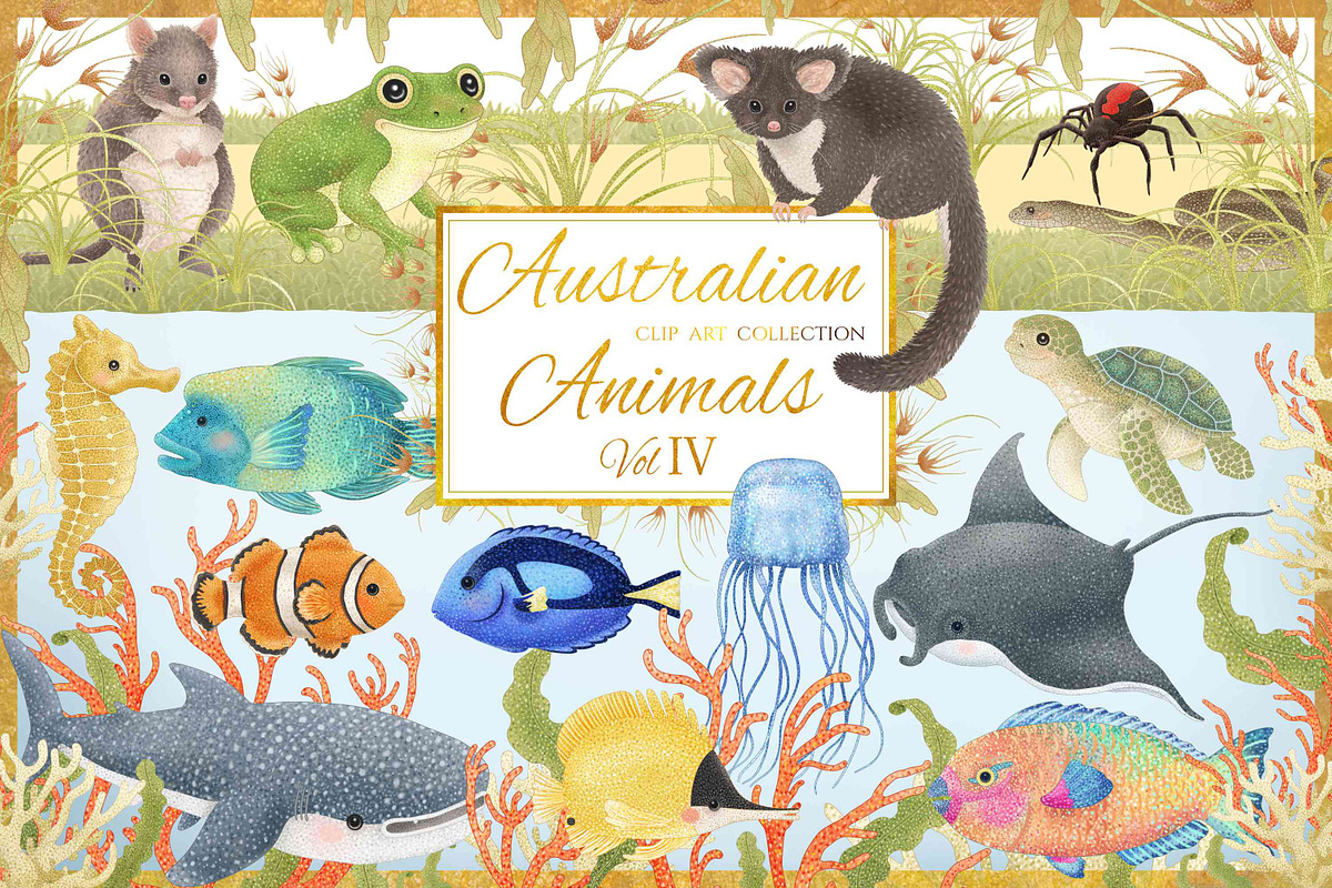 Australian Animals Vol IV, an Animal Illustration by Jen Digital Art (Photo 1 of 8)