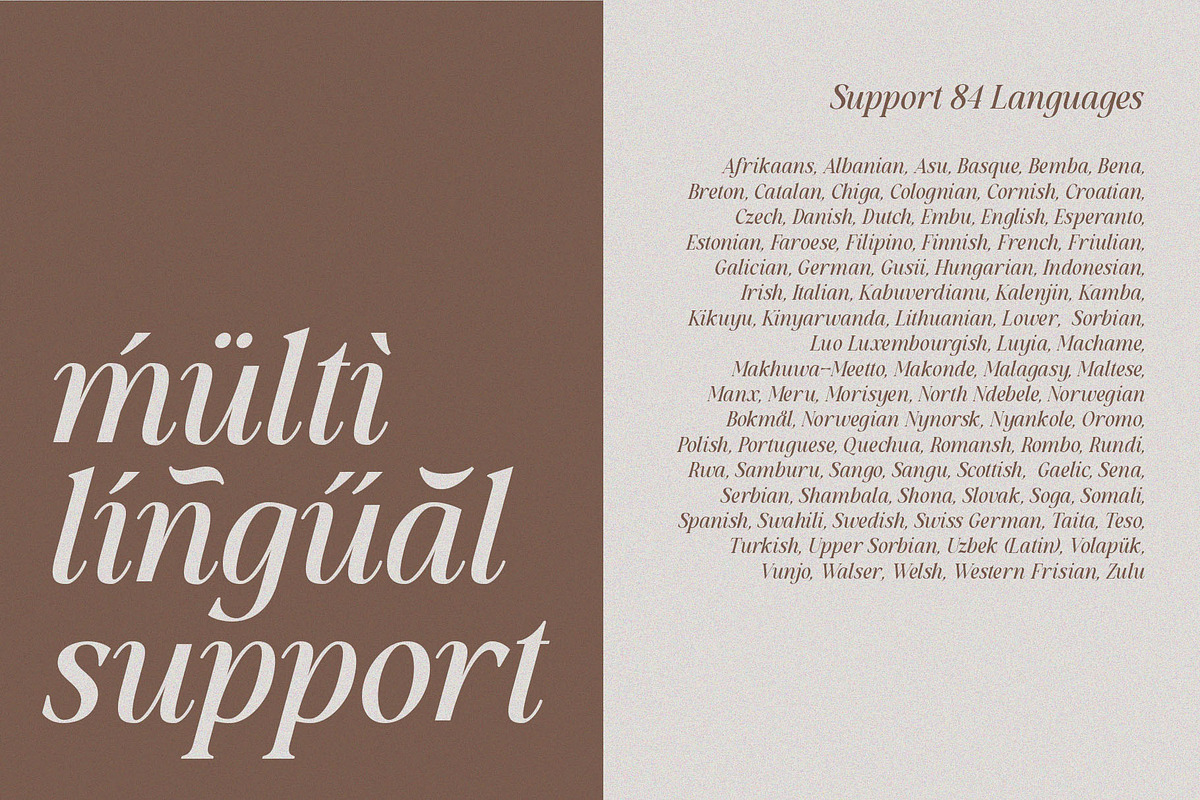 Aesthetic Essential | Modern Serif, a Serif Font by Megi Satyo Widodo (Photo 21 of 22)