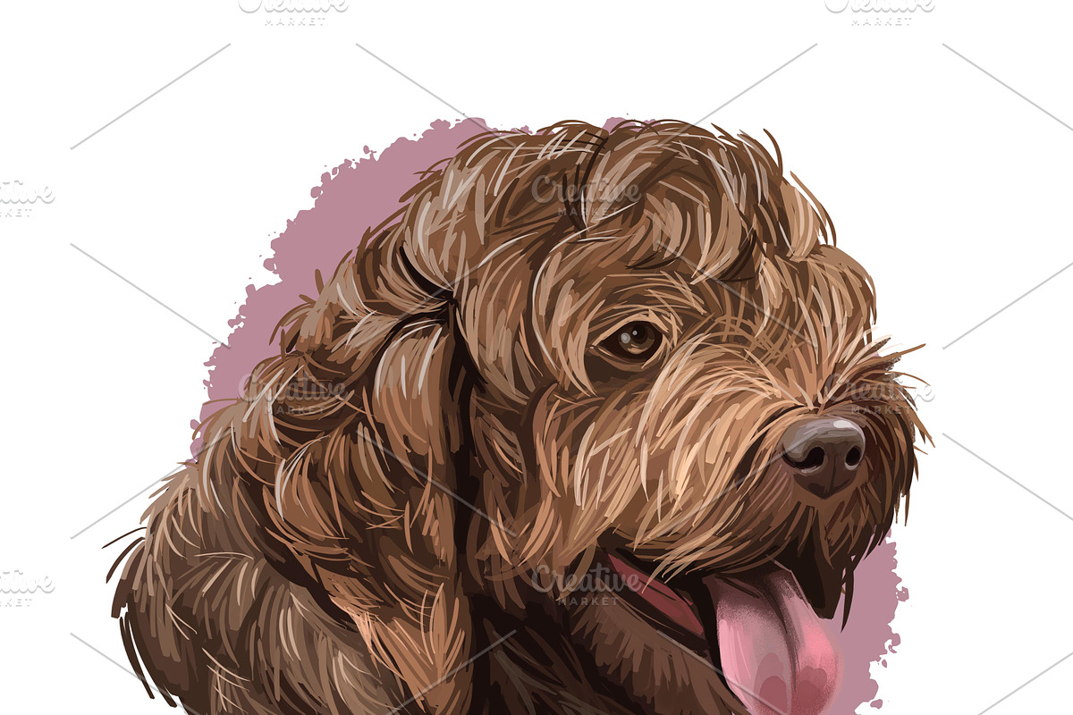Puppies Dog Breeds Big Bundle 135Pcs, an Animal Illustration by Dneprstock (Photo 67 of 68)