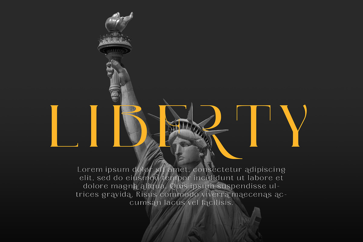 Briliond - Modern Serif, a Serif Font by Ardyanatypes (Photo 2 of 12)