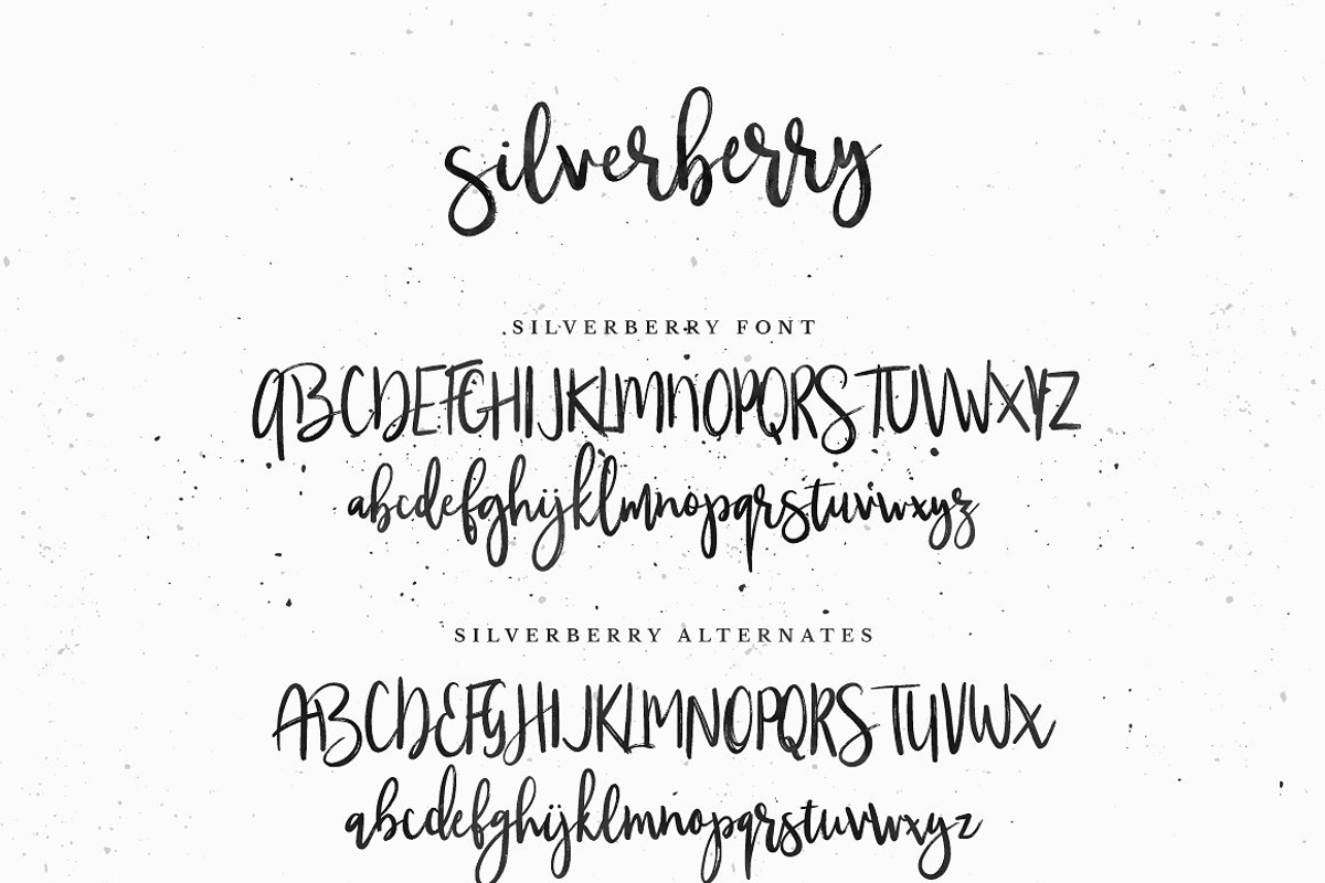 Silverberry - Dry Ink Font preview 7