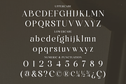 Bilgafe - Elegant Luxury Serif Font, a Serif Font by Qweera Studio (Thumbnail 12 of 12)