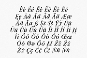 fffffff Pixel Serif Font, a Serif Font by Nomad Visuals (Thumbnail 5 of 6)