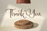 Aleani, a Script Font by Integritype Studio (Thumbnail 15 of 15)